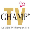 Partenaire hockey section mineure Phenix de Reims_champ TV